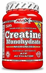 Amix Creatine Monohydrate 1000 g